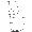 SYN1302