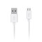 ECO 2 Amp Wall Charger and Micro USB Cable Combo Image 2