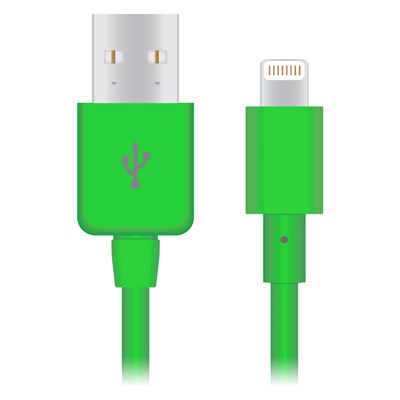 Apple Compatible Naztech Lightning MFi 4 foot Charge and Sync Cable - Green  13217-NZ