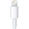 Apple Compatible Naztech N210 2.4 Amp USB Lightning Charger - White  N210-12905 Image 2