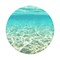 Popsockets - Popgrips Swappable Nature Device Stand And Grip - Blue Lagoon Image 2