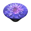 Popsockets - Poptops Swappable Device Stand And Grip Topper - Be A Dahlia Image 1