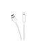 Belkin Boost Up USB C Pd Wall Charger 20w And USB C To Apple Lightning Cable 4ft - White Image 4