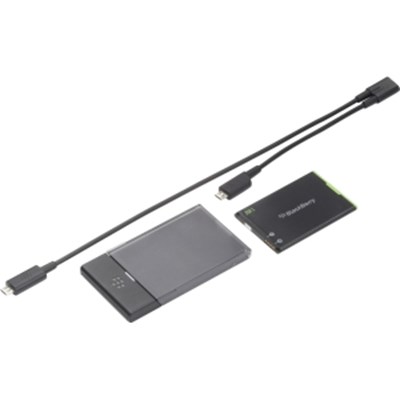 Blackberry Original Extra Battery Charger Bundle  ACC-38580-301