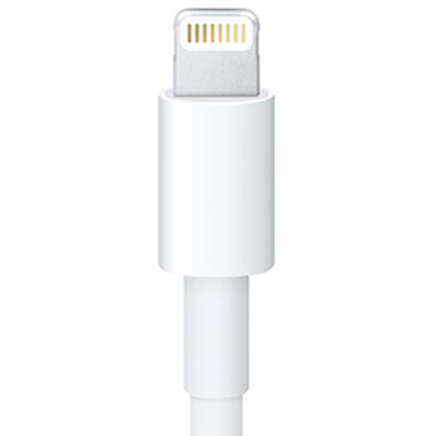 Naztech Apple Certified Lightning 8-Pin Charging and Sync Cable - White 12208NZ