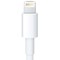 Apple Certified Naztech Lightning 8-pin Vehicle Charger - White 12202NZ Image 3