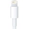 Apple Certified Naztech Lightning 8-pin Travel Charger - White  N210-12206 Image 2