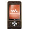 Sony Ericsson W910 Accessories