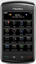 Blackberry Storm