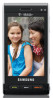 Samsung SGH-T929 accessories