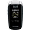 Samsung SCH-U430 Accessories