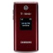 Samsung SGH-T339 Products