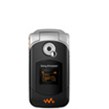 Sony Ericsson W300i Products