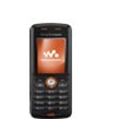 Sony Ericsson W200a Products
