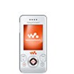 Sony Ericsson W580i Accessories