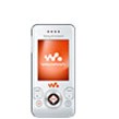 Sony Ericsson W580i Products