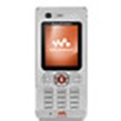 Sony Ericsson W880i Products