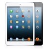 Apple iPad Mini Gadget Guard Screen Protection