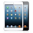 Apple iPad Mini Accessories