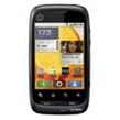 Motorola Citrus WX445 Products