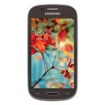 Samsung Galaxy Light T399 Accessories