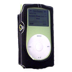 Platinum Skins Case for iPod Mini - Black   SKINIMINIBK